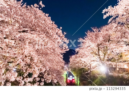 御殿場線と山北の桜 御殿場線と山北の桜 113294335