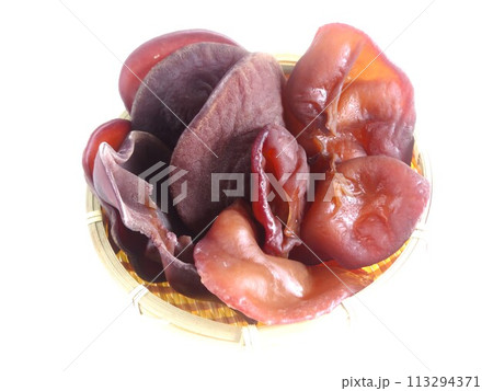 アラゲキクラゲ(菌床) 113294371