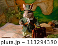 Dapper Explorer Rabbit 113294380