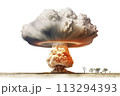 Nuclear Explosion Mushroom Cloud 113294393