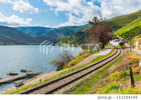 ドウロ渓谷・ポルトガル、ポートワインの故郷、世界遺産、広大な葡萄畑とドウロ渓谷の景観 113294549