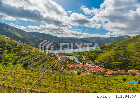 ドウロ渓谷・ポルトガル、ポートワインの故郷、世界遺産、広大な葡萄畑とドウロ渓谷の景観 113294554