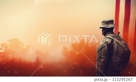 Veterans Day. a U.S. national holiday, Memorial Day and Armistice Day. Pride and patriotism, soldier, for banner and text. American flag, retired soldier . 113295267