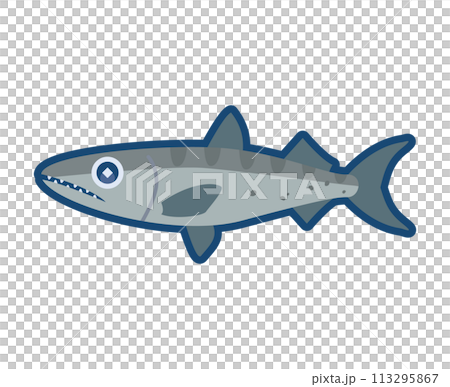 Cute barracuda illustration 113295867