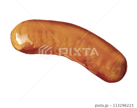 ウインナー（1本）切れ目なし 113296223