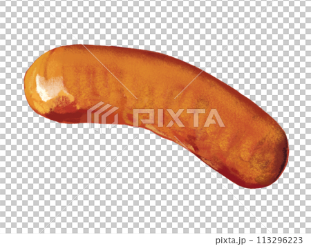 ウインナー（1本）切れ目なし 113296223
