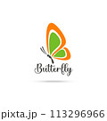 Stylized image of butterfly logo template isolate Vector illustration 113296966