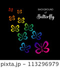 Stylized image of butterfly logo template isolate Vector illustration 113296979