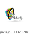 Stylized image of butterfly logo template isolate Vector illustration 113296983