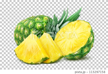 Pineapple illustration realistic Pineapple illustration realistic 113297158