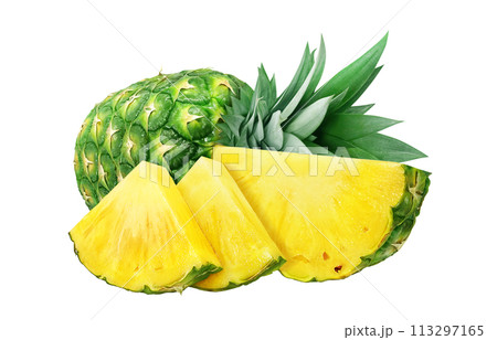 パイナップルのイラスト リアル パイナップルのイラスト リアル 113297165