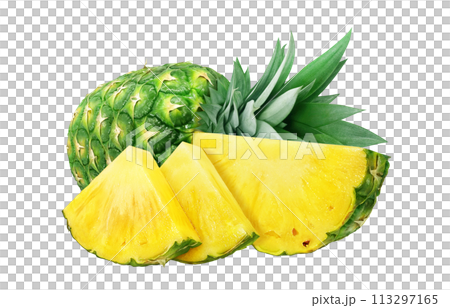 パイナップルのイラスト リアル パイナップルのイラスト リアル 113297165