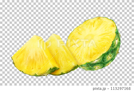 pineapple illustration realistic 113297168