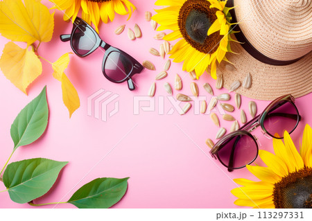Sunflower seeds, hat and sunglasses on pink background. Top view and summer vibe, border frame with copy space 113297331