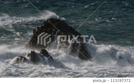岩礁に打ち寄せる波しぶき 岩礁に打ち寄せる波しぶき 113297372