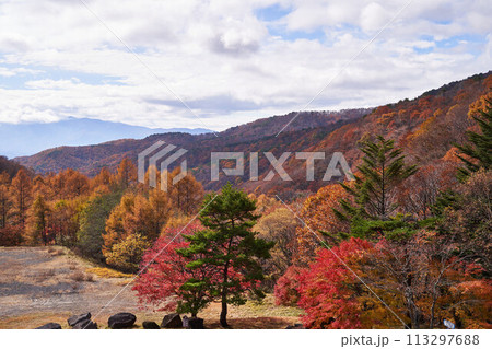 長野県茅野市 国道152号からの景色 長野県茅野市 国道152号からの景色 113297688
