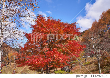 長野県茅野市　国道152号からの景色 113297692