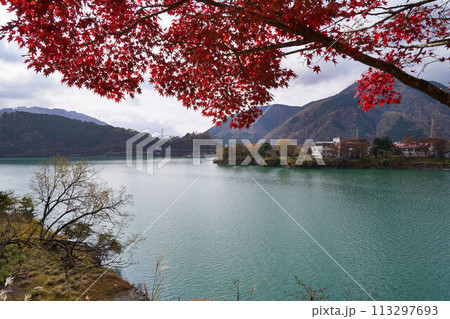 神奈川県　丹沢湖の紅葉 113297693