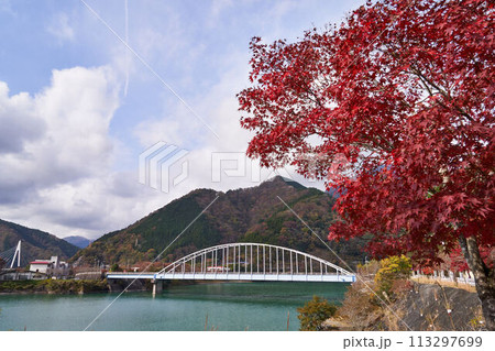 神奈川県　丹沢湖の紅葉 113297699
