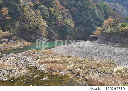 神奈川県 三保ダム下流の河内川 神奈川県 三保ダム下流の河内川 113297710