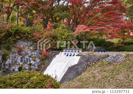 神奈川県 三保ダムのミニチュア 神奈川県 三保ダムのミニチュア 113297731