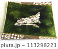 つくしの砂糖漬け 113298221