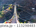The Punakha Suspension Bridge at the Punakha Dzong in Bhutan. 113298483