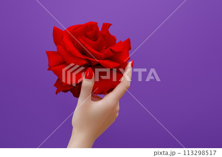 Classic red nails with red rose flower . Red 113298517