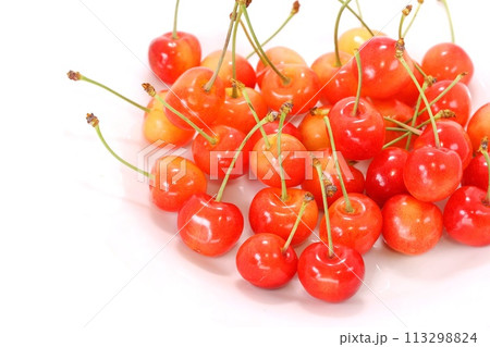 サクランボ　佐藤錦　複数　明るい背景 113298824