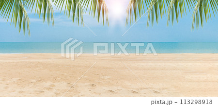 Green leaves of Palm coconut trees against blue sky and beautiful beach on day. View with of nice tropical beach. Vacation holidays background. Wallpaper. Copy space bottom side for design or content 113298918