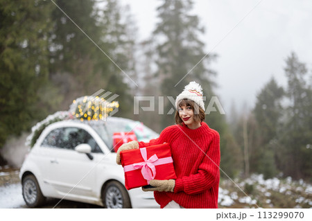 Woman travels by car during winter holidays 113299070