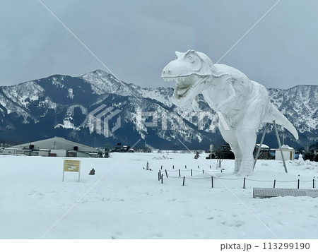 【福井】福井県立恐竜博物館 ティラノサウルス雪像 113299190