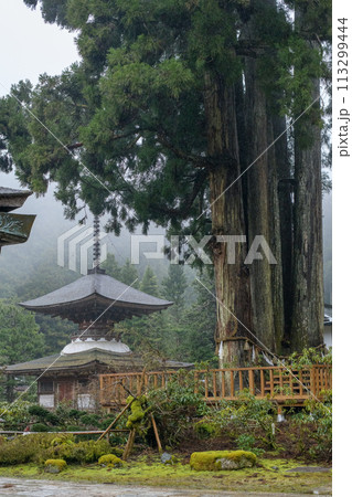 高野山 雨に煙る金剛三昧院 国宝多宝塔と六本杉 和歌山県 高野山 雨に煙る金剛三昧院 国宝多宝塔と六本杉 和歌山県 113299444