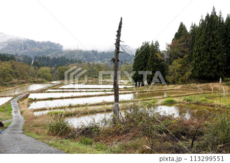里山の棚田がある風景 里山の棚田がある風景 113299551