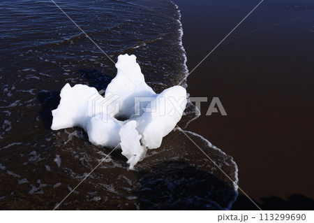北海道オホーツク流氷花の写真素材 [113299690] - PIXTA