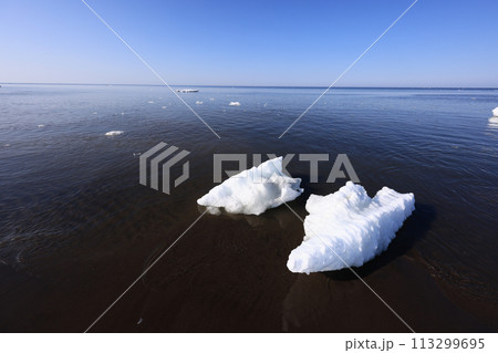 北海道オホーツク海冬の忘れ物 北海道オホーツク海冬の忘れ物 113299695