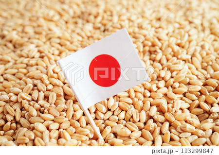 Japan flag on grain wheat, trade export and economy concept. 113299847