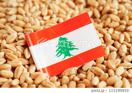Lebanon flag on grain wheat, trade export and economy concept. 113299850