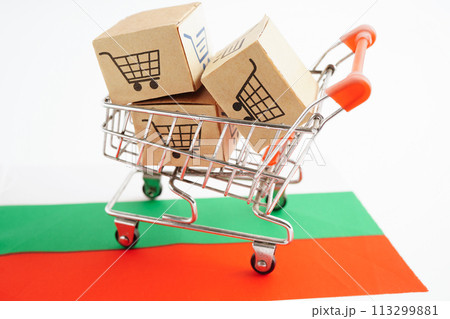 Online shopping, Shopping cart box on Balgaria flag, import export, finance commerce. 113299881