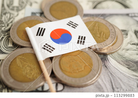 South Korea flag on coins background, finance and accounting, banking concept. 113299883