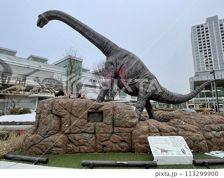 【福井】JR福井駅と恐竜モニュメント 113299900