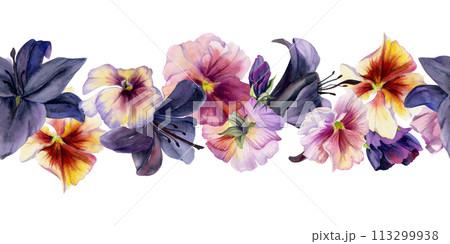 Hand drawn watercolor illustration shabby boho botanical flowers. Dark lily clivia amaryllis, pansy viola violet. Seamless banner isolated on white background. Design wedding suite, love cards, shop 113299938