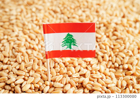 Lebanon flag on grain wheat, trade export and economy concept. Lebanon flag on grain wheat, trade export and economy concept. 113300080