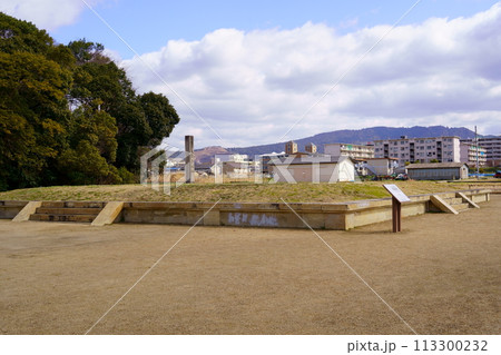 大安寺塔跡（東塔）／奈良県奈良市 113300232