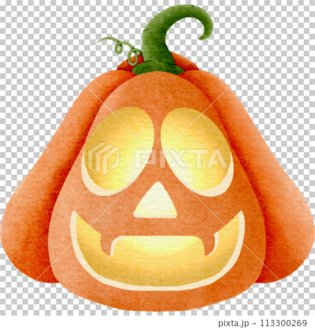 pumpkin on a white background 113300269