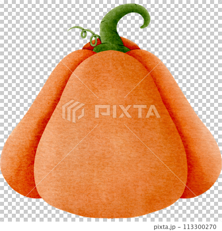 pumpkin on a white background 113300270