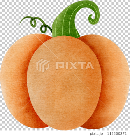 pumpkin on a white background 113300271