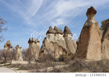 キノコ岩　世界遺産　カッパドキア　トルコ　アジア 113300331