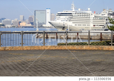停泊中の大型クルーズ船（東京国際クルーズターミナル） 113300356