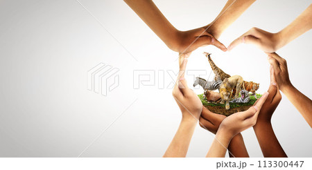Wildlife Conservation Day. wildlife protection, multiracial human come to build hands in shape of heart to protect the environment. Wildlife Conservation Day. wildlife protection, multiracial human come to build hands in shape of heart to protect the environment. 113300447
